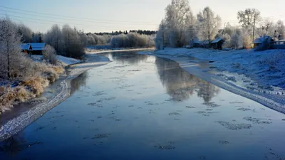 Как уничтожают природу России? Фоторепортаж о борьбе против застройки  земель с древними курганами и редкими животными