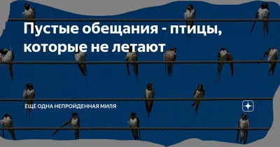 Картинка с текстом: истории из жизни, советы, новости, юмор и картинки —  Все посты | Пикабу