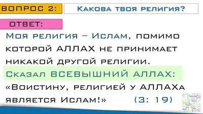 В Чечню приезжают, чтобы принять религию Ислам | Информационное агентство  \"Грозный-Информ\"