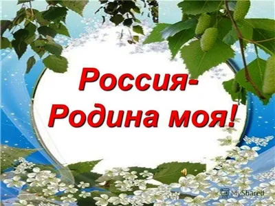 Уникальный проект про Родину: Всероссийский фотоконкурс «За это я люблю  Россию» - Агентство поддержки молодёжных инициатив Новосибирской области