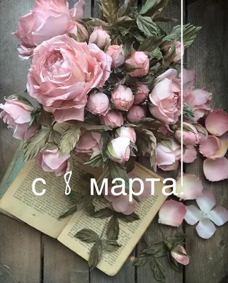 Приключенческие романы для детей `Приключения мышонка Десперо` Современная  детская литература (ID#1978727680), цена: 184 ₴, купить на Prom.ua