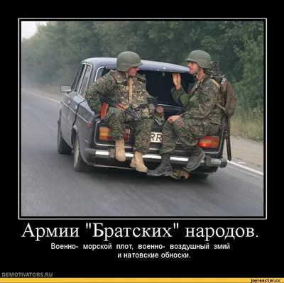 Посмотрев эти смешные картинки вы вспомните интересные моменты из своей  службы. Армейский юмор! | Военное Право | Дзен