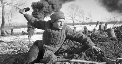 Actualno (Болгария): 17 удивительных фактов о Второй мировой войне  (Actualno.com, Болгария) | 07.10.2022, ИноСМИ