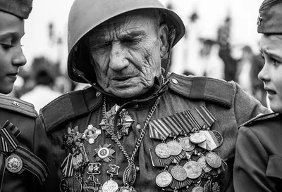 Исторический квиз «Великая Отечественная война 1941 — 1945 гг через призму  искусства» — Мероприятия — Проектная группа «Право и искусство» —  Национальный исследовательский университет «Высшая школа экономики»