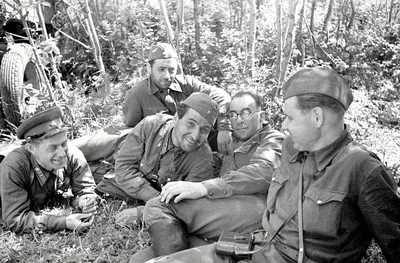 Россия в войне 1941-1945 гг. Великая отечественная глазами британского  журналиста, Александр Верт – скачать книгу fb2, epub, pdf на ЛитРес