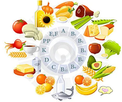 Классификация продуктов питания | Статьи о заведениях и продуктах |  Food-Fresh