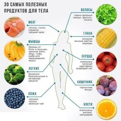 Таблица калорийности продуктов питания с расчетом на 100 грамм: полная  версия