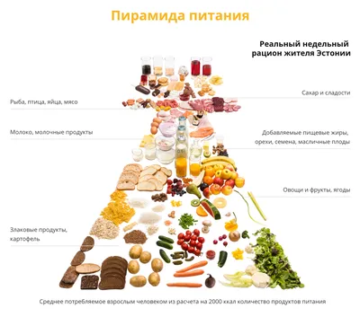 Экологически чистые продукты питания, почему они безопасны для человека