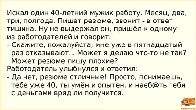 Тайна Сырной улицы Анастасия Пикина - купить книгу Тайна Сырной улицы в  Минске — Издательство Феникс на OZ.by