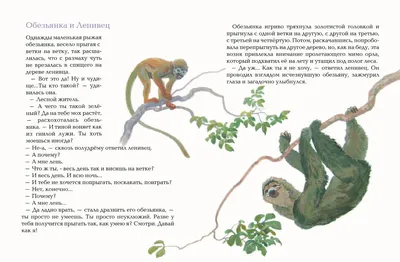 Красота и юмор. - Красота и юмор. added a new photo.
