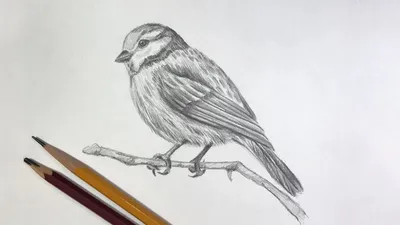 30 потрясающих объемных рисунков, нарисованных простым карандашом |  Екабу.ру - развлекательный портал