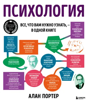 Что такое экстремальная психология? Как стравляться со стрессом? какие  причины влияют на состояние человека? | Институт профессионального  образования