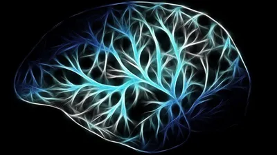 Психология рекламы | Блог 4brain