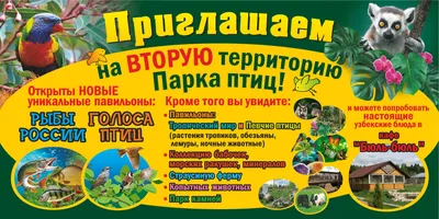 Посмотрите на самые красивые фото диких птиц | РБК Life