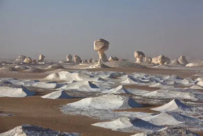 Долгая дорога в дюнах: как жители пустыни добывают воду | Фотогалереи |  Известия