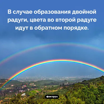 Купить Зонт цвета радуги полуавтомат трость с черной рукояткой недорого в  Москве, Спб, Нижнем Новгороде в интернет магазине NewZont.ru