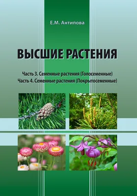 Топ-7 растений, которые стоит поставить в спальне | Аскона