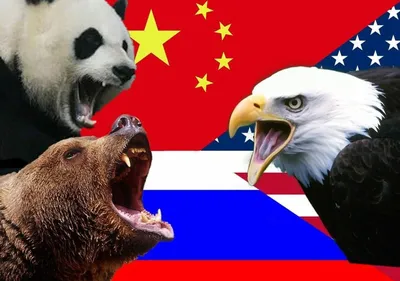 Экс-советник Пентагона Макгрегор: Россия, Китай и Индия подняли бунт против  США