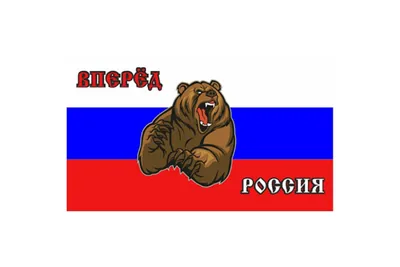 Флаг России, Вперед россия, 90*135см РУСФЛАГ 7966672 купить за 66 900 сум в  интернет-магазине Wildberries