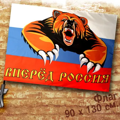 Подушка, Надписи, \"Россия вперед\" 40x40 - купить по низкой цене в  интернет-магазине OZON (1249294428)