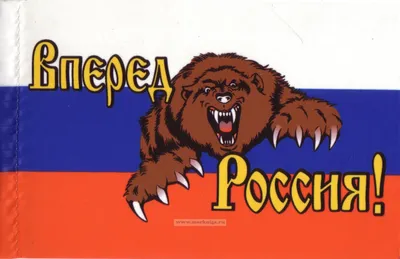 Флаг Россия Вперед 16х24 купить в Москве по доступной цене | ФлагОпт