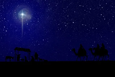Рождество Господа и Спаса нашего Иисуса Христа |  Свято-Иоанно-Крестительский храм г. Орла