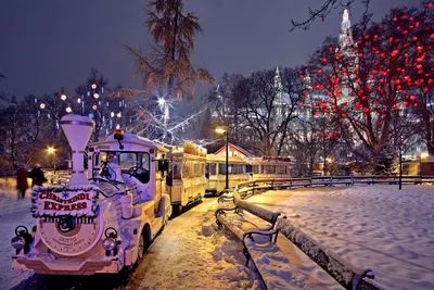 Рождественские традиции в Украине, США и Великбритании | Библіотека міста N