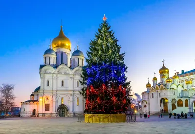Праздник добра и света: история и традиции Рождества — Школа.Москва