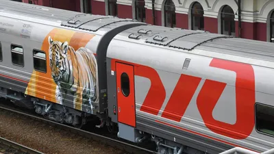 ✈ РЖД намерены возобновить движение больше 60% отменённых поездов