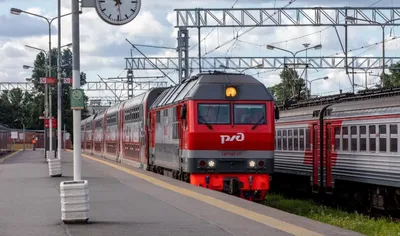 РЖД возобновили продажу билетов за 90 суток почти на все поезда –  Объясняем.рф