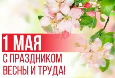 Мир. Труд. Май.