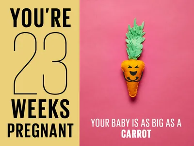 23 weeks pregnant | Symptoms, tips and more - Today's Parent