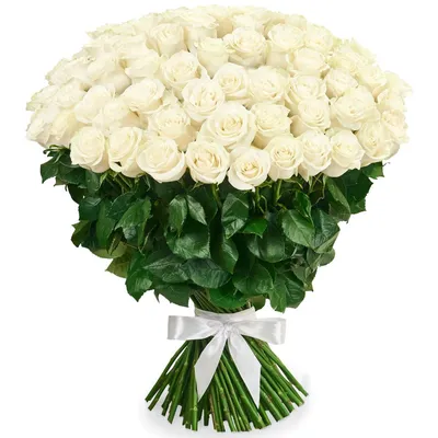 Белые розы на 8 марта обои для рабочего стола, картинки Белые розы на 8  марта, фотографии Белые розы на 8 марта, фото Белые розы на 8 марта скачать  бесплатно | FreeOboi.Ru