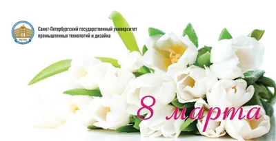8 марта Букет цветов Срезанные цветы, 8 марта, белый, ваза png | PNGEgg