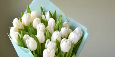 Белые тюльпаны в шляпной коробке (S)
