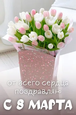 ✿ Белый тюльпан ✿- купить с доставкой ❤