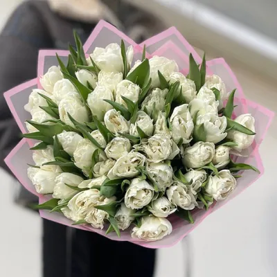 Купить шикарный букет белых тюльпанов в Могилеве с доставкой