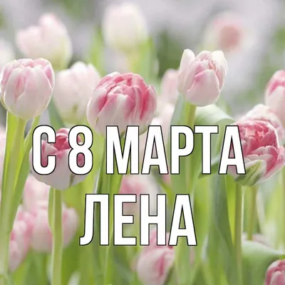 Лена! С 8 марта! Красивая открытка для Лена! Мигающая открытка ГИФ на  блестящем фоне. Большой букет красивых белых роз.