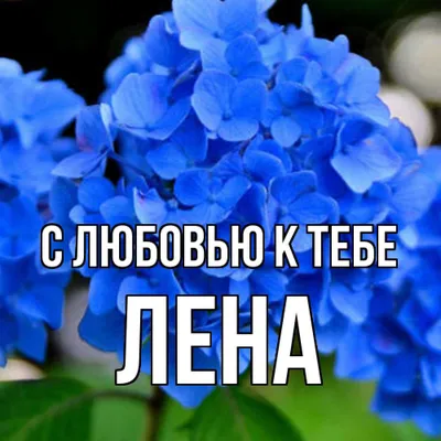 Открытка с именем Лина Люблю тебя. Открытки на каждый день с именами и  пожеланиями.