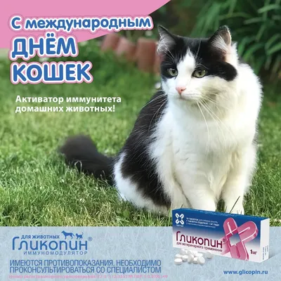 КОТЫ и ЦВЕТЫ к 8 МАРТА. По страницам котоальманаха \"Коты через века\".