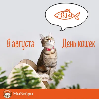 Кошка/Cat | Цветы, Рыжий, Кошки