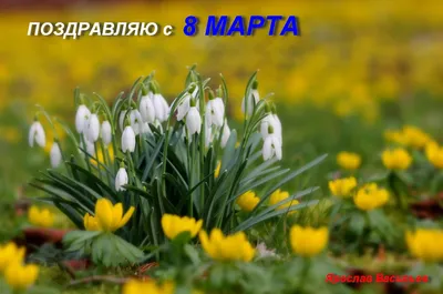 С Днем 8 Марта!!! :: Наталья Пендюк Пендюк – Социальная сеть ФотоКто