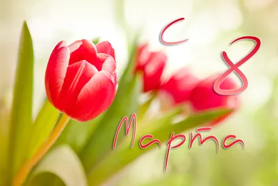 Подарок к 8 марта учительнице (воспитателю) - купить по лучшей цене в  Днепропетровской области от компании \"VERONIKA-SHOP\" - 1125077222