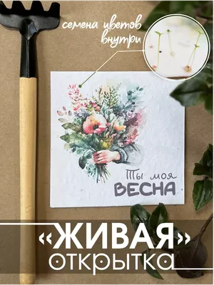 Что подарить учителю или воспитателю на 8 марта — оригинальный подарок  учительнице или воспитательнице на Международный женский день