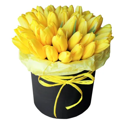 Обои цветы, букет, тюльпаны, желтые тюльпаны на телефон и рабочий стол,  раздел цветы, разрешение 4839x3769 - скачать