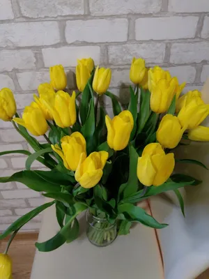 Открытка акварельная: цветы желтые тюльпаны 8 марта в интернет-магазине  Ярмарка Мастеров по цене 550 ₽ – NSYISBY | Открытки, Санкт-Петербург -  доставка по России
