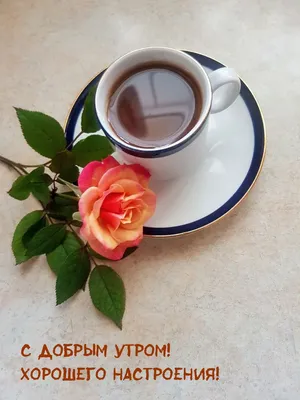 Как день начнешь, так его и проведешь, или о чае «Доброе утро» |  Medovkrym.ru
