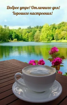 Напитки, доброе утро и концепция завтрака - пустые чашка чая и чайник с  зеленым чаем на таблице Стоковое Фото - изображение насчитывающей мята,  трава: 118793262