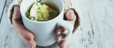 Чаепитие по-разному: в поисках идеального аромата и вкуса – кружка,  заварник или френч-пресс?