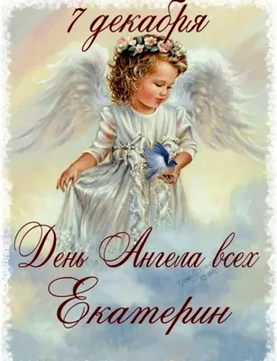 День ангела Екатерина - Поздравления, открытки и картинки на именины  Екатерины - Телеграф